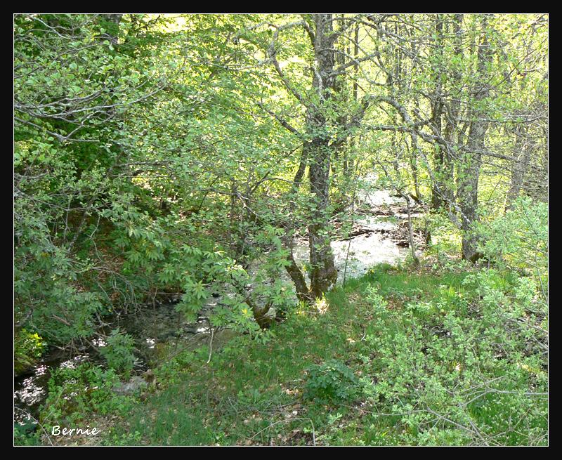 Riviere.jpg - Près du lac Chauvet